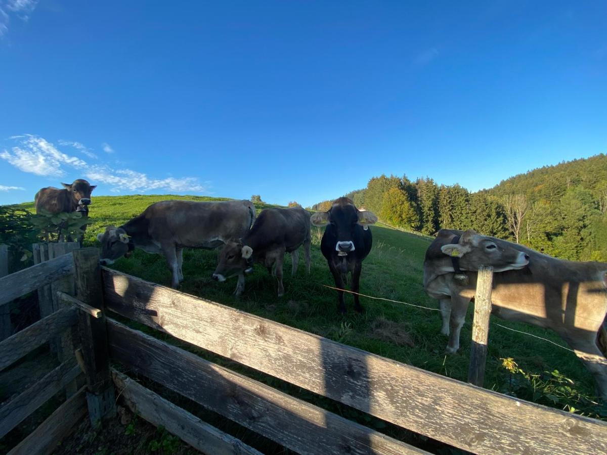 Ferienwohnung Bergblick Wangen Im Allgaeu Mit Garten, 2022 Komplett Renoviert Exterior foto