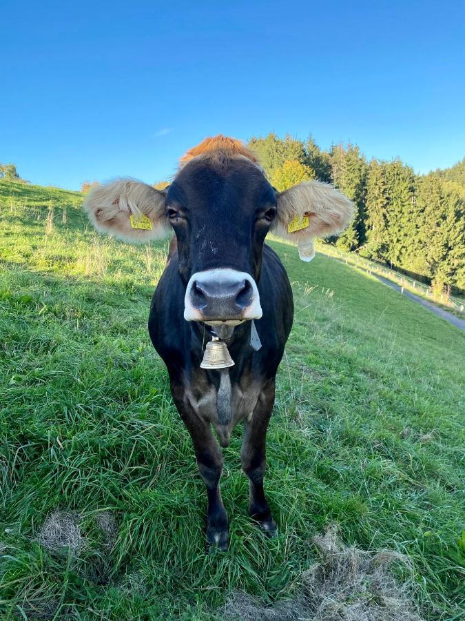 Ferienwohnung Bergblick Wangen Im Allgaeu Mit Garten, 2022 Komplett Renoviert Exterior foto